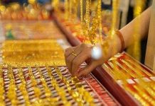 Nóng nhất trong ngày: Giá vàng trong nước chênh thế giới gần 20 triệu; Cây bằng lăng ‘khủng’ giá 2 tỷ đồng